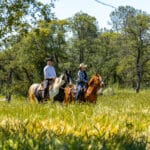 Photo 71 for Sunset Ranch