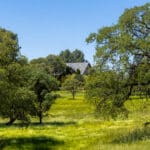 Photo 81 for Sunset Ranch