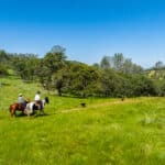Photo 5 for Sunset Ranch