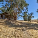 Photo 52 for King Ranch
