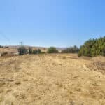 Photo 48 for King Ranch