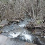 Photo 2 for Julian Ranch