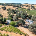 Photo 50 for Henry's Vineyard