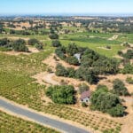 Photo 42 for Henry's Vineyard
