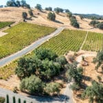 Photo 41 for Henry's Vineyard