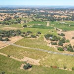 Photo 1 for Henry's Vineyard