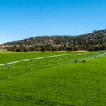 Photo 7 for Wallace Ranch
