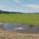 Photo 13 for 5 Springs Cattle and Hay Ranch