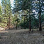 Photo 1 for Ragland Gulch Acreage
