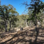 Photo 16 for Ragland Gulch Acreage