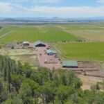 Photo 5 for 5 Springs Cattle and Hay Ranch