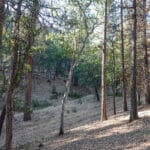 Photo 21 for Ragland Gulch Acreage