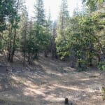 Photo 22 for Ragland Gulch Acreage