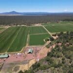 Photo 6 for 5 Springs Cattle and Hay Ranch