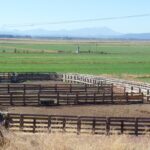 Photo 24 for 5 Springs Cattle and Hay Ranch