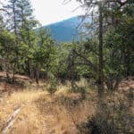 Photo 4 for Ragland Gulch Acreage