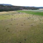 Photo 54 for 5 Springs Cattle and Hay Ranch