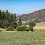 Photo 45 for Hungry Hollow Ranch
