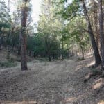 Photo 10 for Ragland Gulch Acreage
