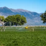 Photo 52 for Heller Ranch
