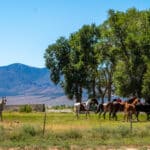 Photo 43 for Heller Ranch