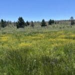 Photo 33 for Clark's Valley Ranch