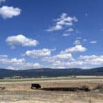 Photo 10 for Davis Creek Pivot