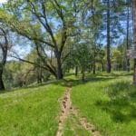 Photo 6 for Schaad Ranch