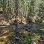Photo 78 for Schaad Ranch
