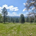 Photo 95 for Schaad Ranch