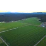 Photo 45 for 5 Springs Cattle and Hay Ranch
