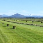 Photo 43 for 5 Springs Cattle and Hay Ranch