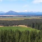 Photo 8 for 5 Springs Cattle and Hay Ranch