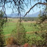Photo 38 for 5 Springs Cattle and Hay Ranch