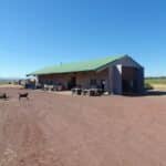 Photo 20 for 5 Springs Cattle and Hay Ranch