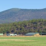 Photo 19 for 5 Springs Cattle and Hay Ranch
