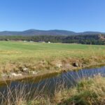 Photo 50 for 5 Springs Cattle and Hay Ranch