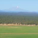 Photo 46 for 5 Springs Cattle and Hay Ranch