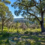 Photo 70 for Oakridge Estate