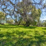 Photo 79 for Oakridge Estate