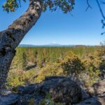 Photo 107 for Lassen RV Park Campground