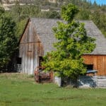Photo 3 for Lil Bit of Heaven Ranch