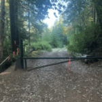 Photo 5 for Redwood 1