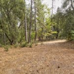 Photo 53 for Mokelumne Hill Acres
