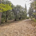 Photo 54 for Mokelumne Hill Acres