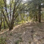 Photo 58 for Mokelumne Hill Acres