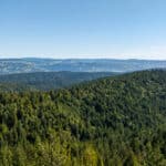 Photo 7 for Redwood 1
