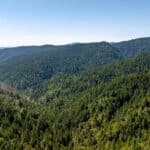 Photo 9 for Redwood 1