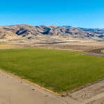 Photo 2 for Palomino Farms