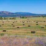 Photo 89 for Mystic Mountain Ranch